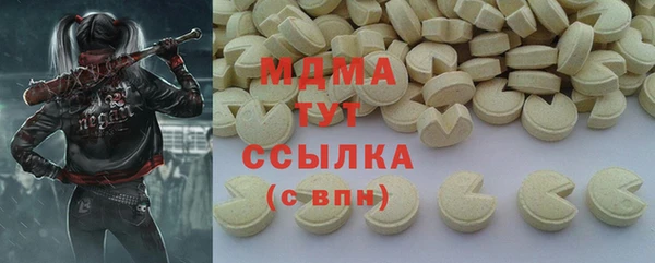 индика Володарск