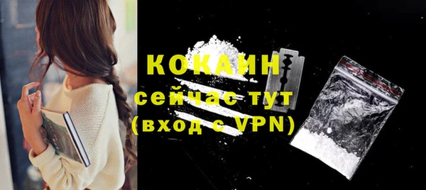 гашик Вяземский