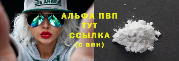 гашик Вяземский