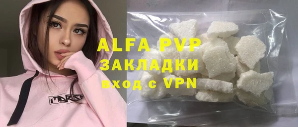 индика Володарск