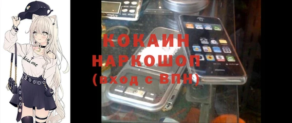 индика Володарск
