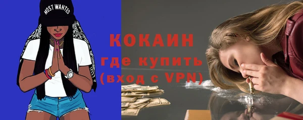индика Володарск