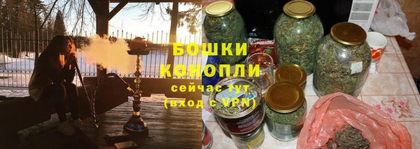 гашик Вяземский
