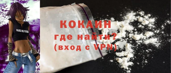 индика Володарск