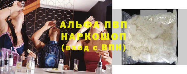 гашик Вяземский