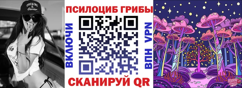 хочу   Чишмы  даркнет Telegram  Галлюциногенные грибы ЛСД 